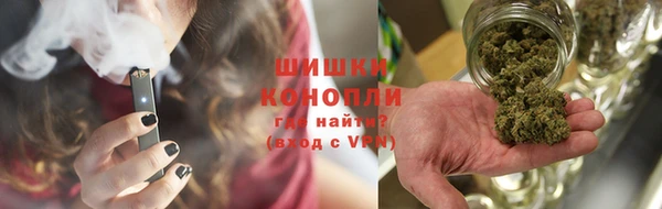 сатива Балахна