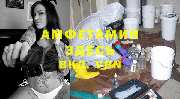 сатива Балахна