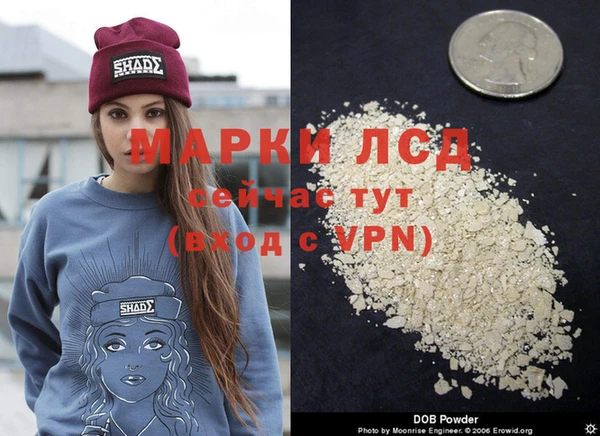 сатива Балахна