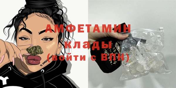 сатива Балахна