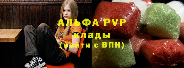 сатива Балахна