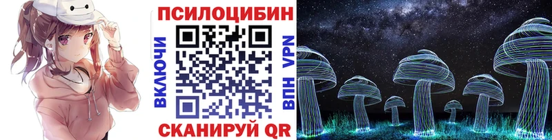 где можно купить наркотик  Вязники  Галлюциногенные грибы Cubensis 